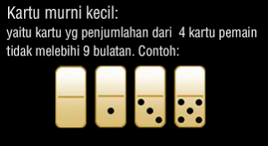 situs judi domino